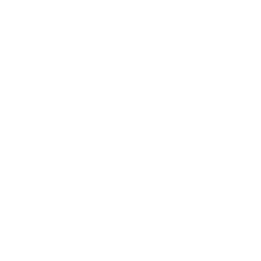 Logo Tennis Passion - Vente de raquettes et cordage