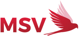 MSV